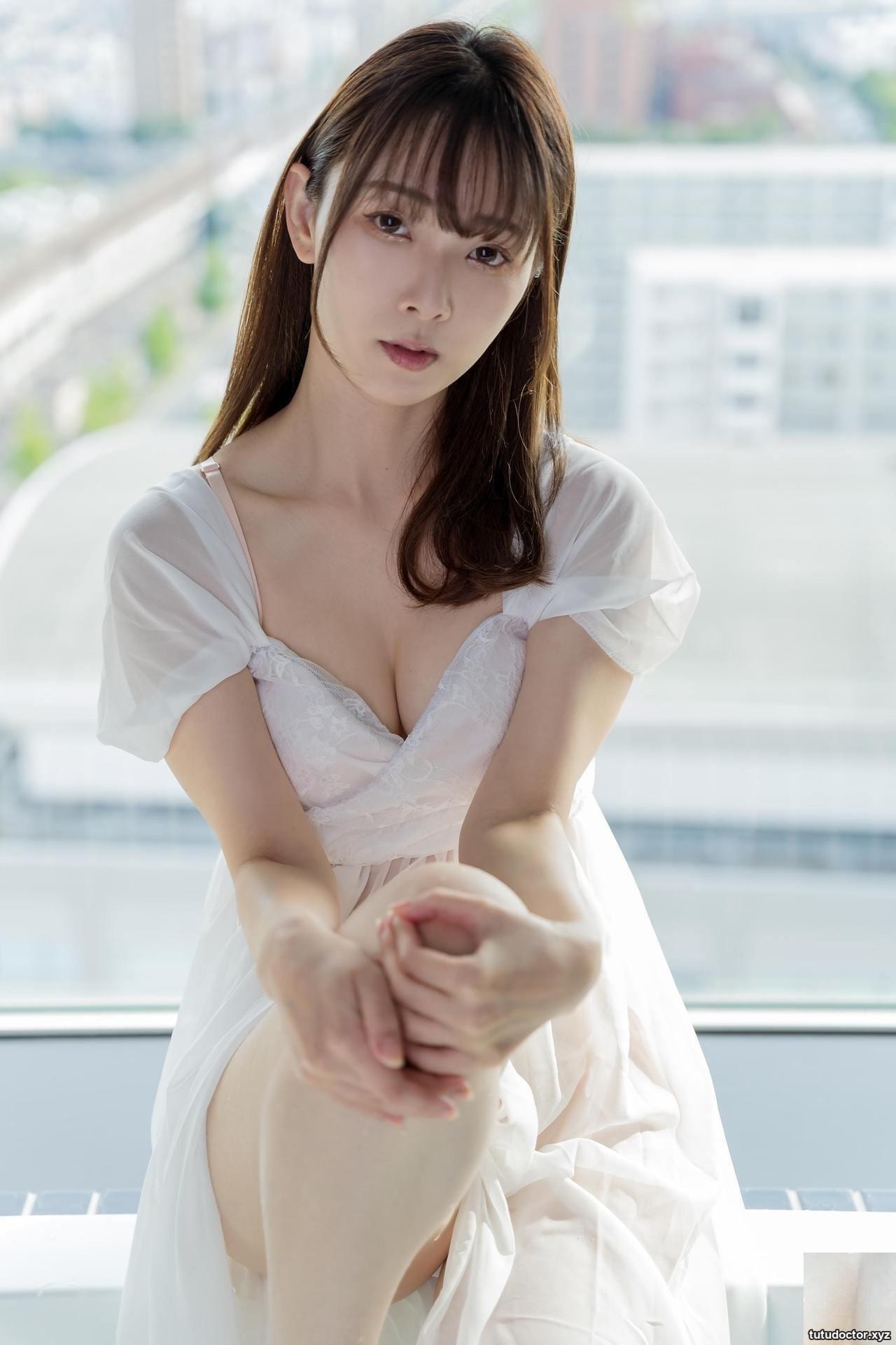 The temperament and beauty make peoples hearts flutter in a · photo 3 of 38
