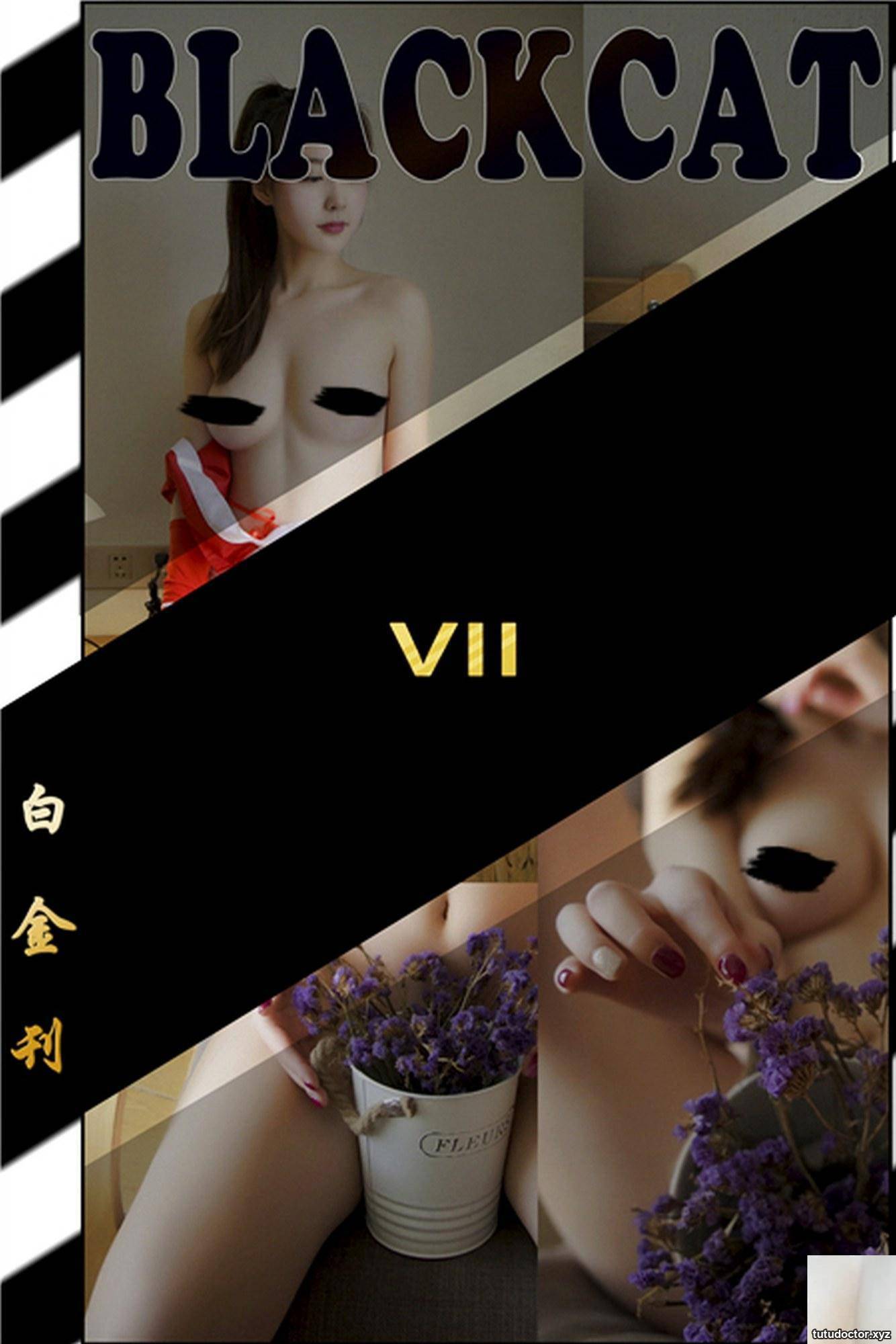 (PartyCat) Platinum Issue NO.007 No Mosaic VIP Exclusive (36P)