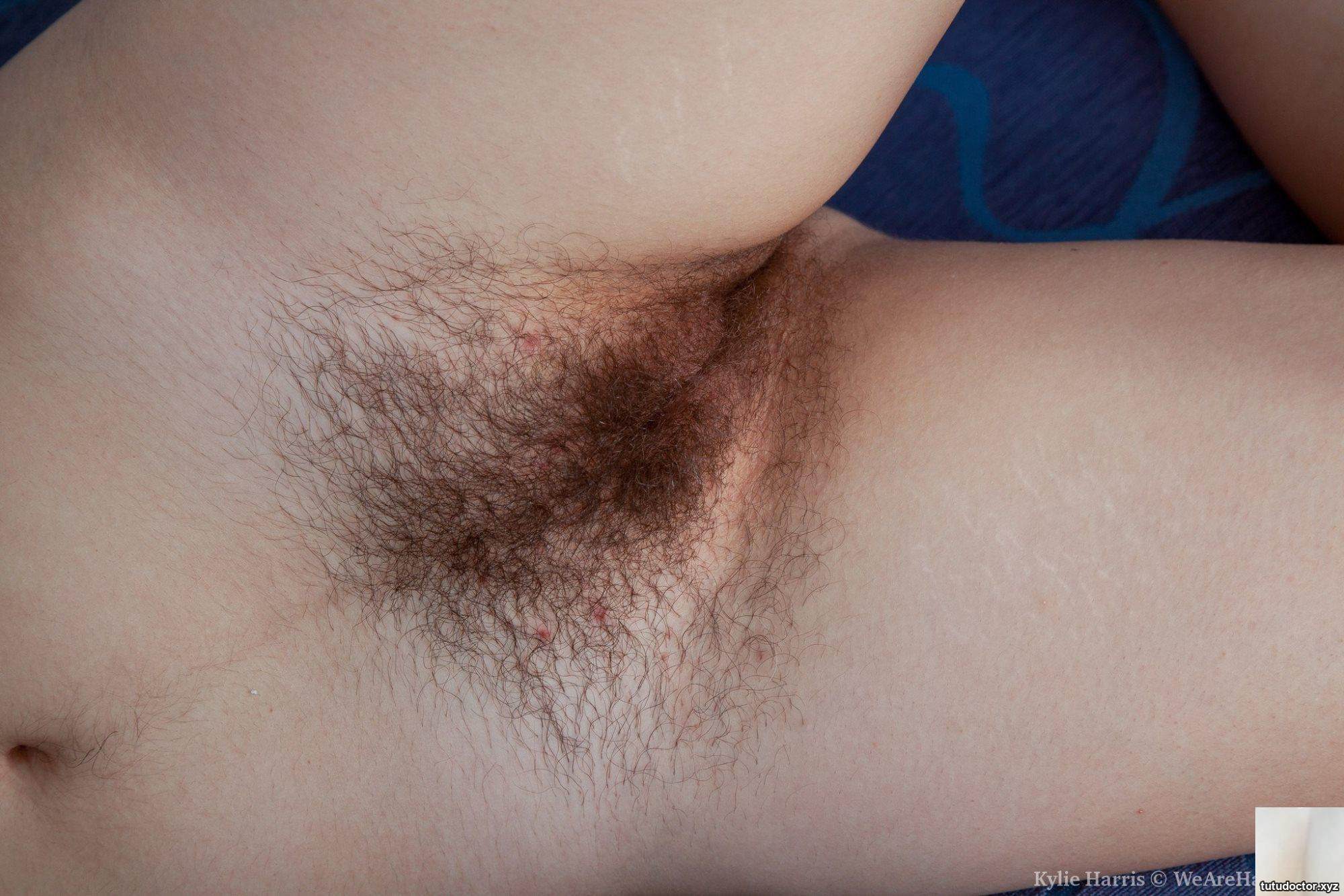 Hairy Kylie Harris shows off her hairy p · photo 64 of 114