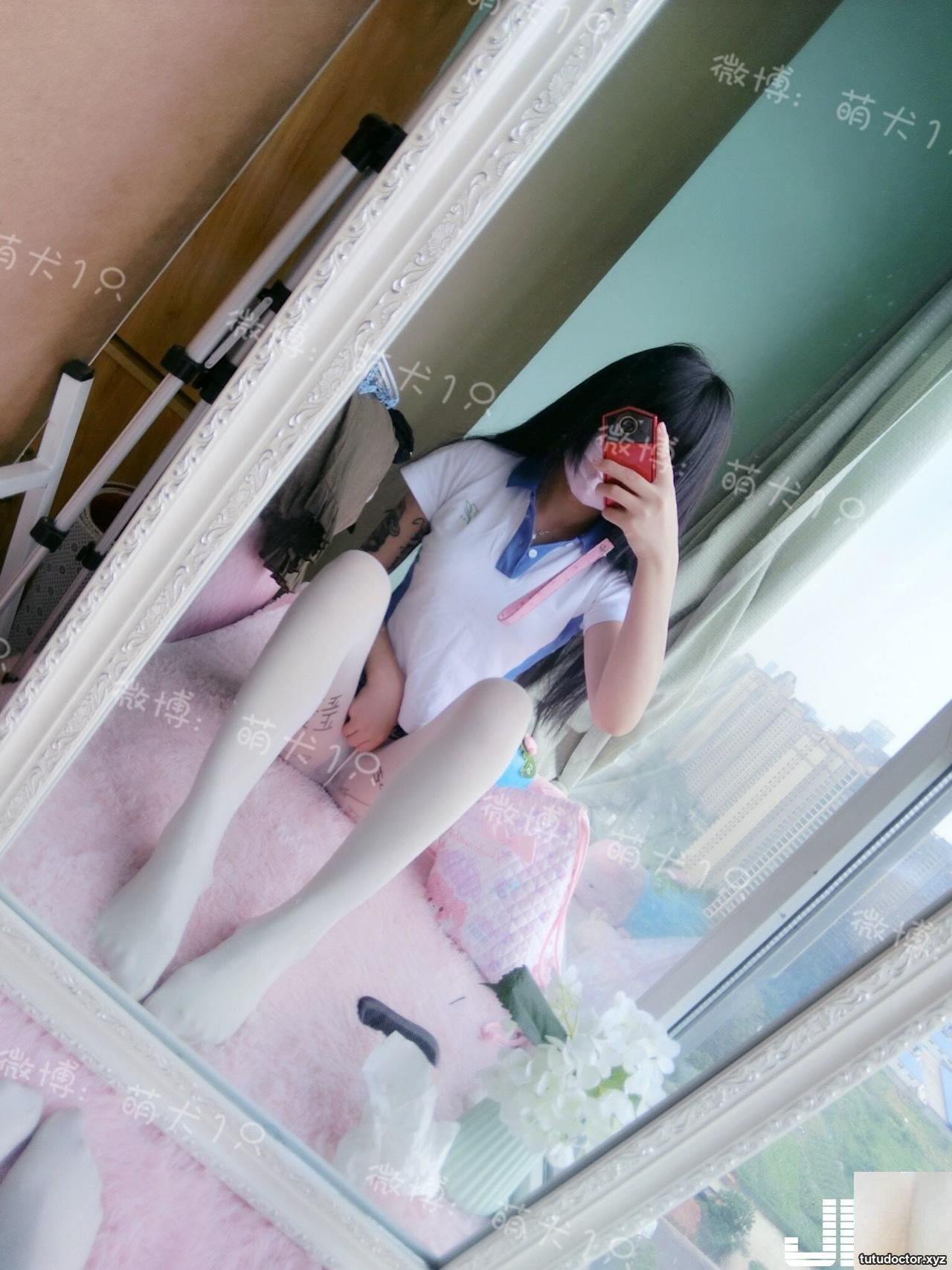 1 cute dog in school uniform VIP exclusive · photo 42 of 50