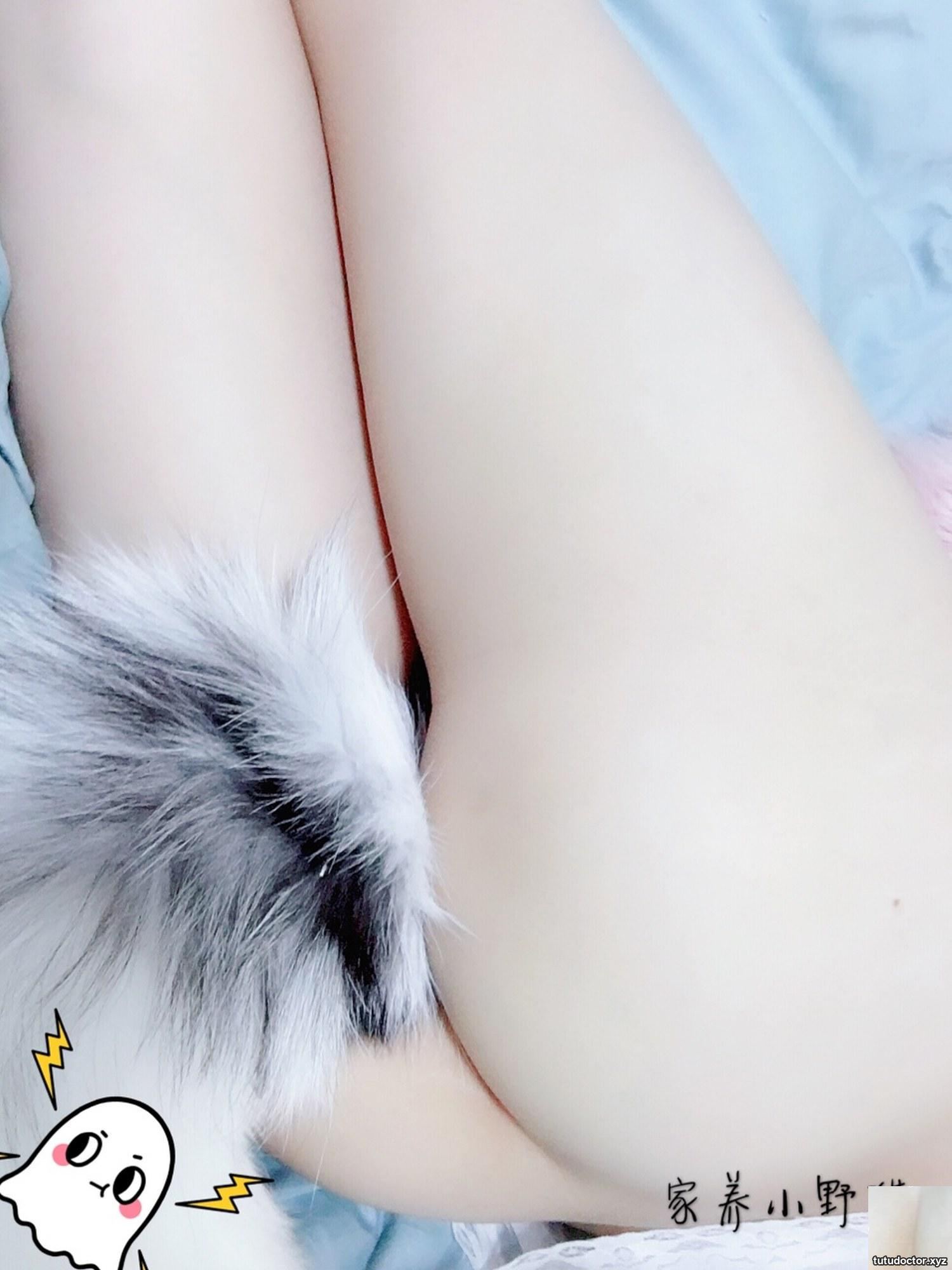 Welfare Girl-Domestic Wild Cat No Mosaic VIP Exclusive 1 · photo 29 of 99